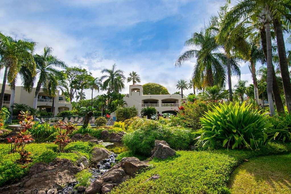 דירות Palms At Wailea מראה חיצוני תמונה