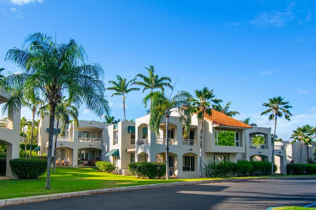 דירות Palms At Wailea מראה חיצוני תמונה